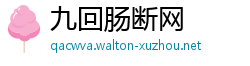 九回肠断网